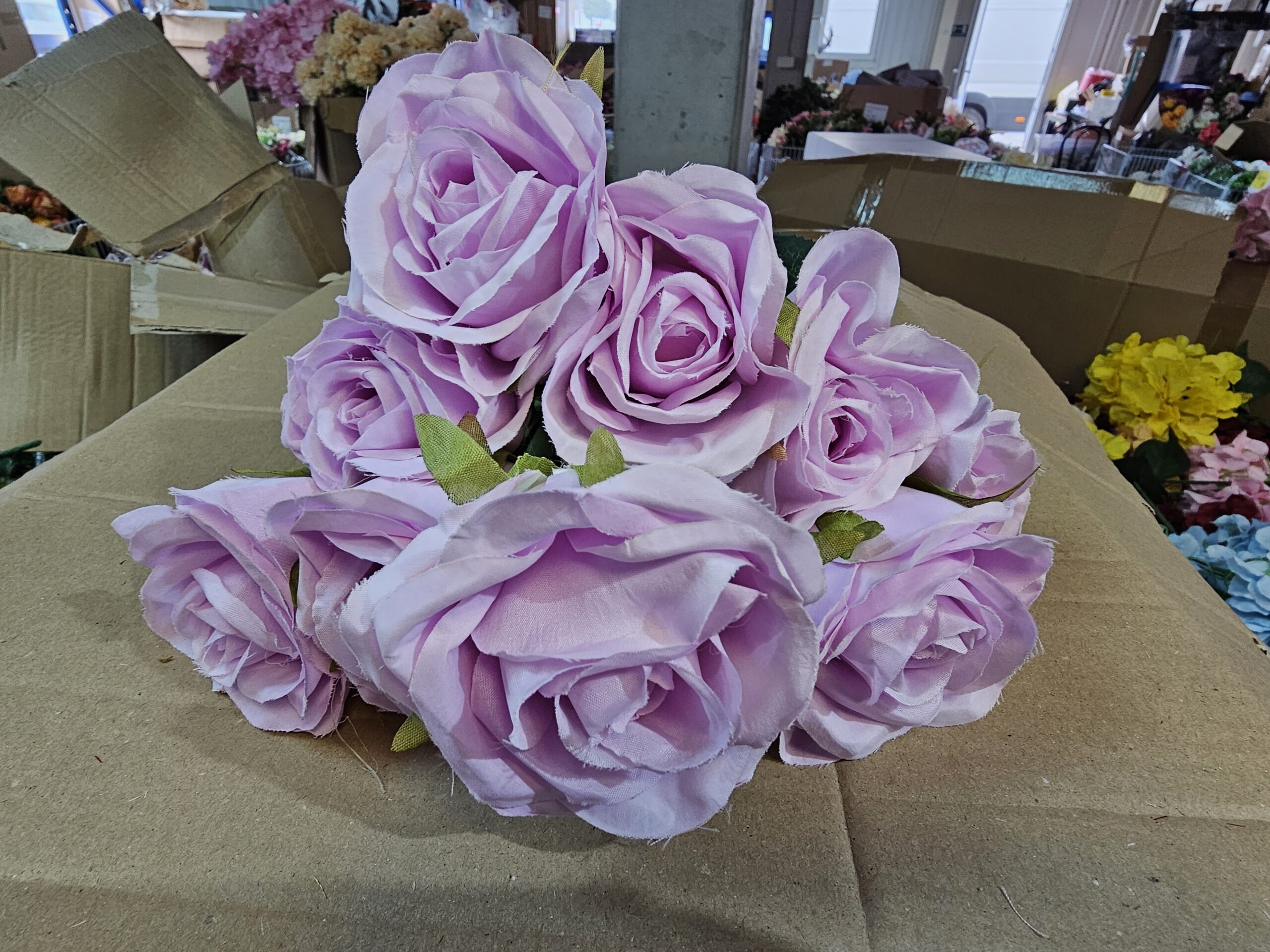 20241019_133616 BUKET - Slika 1