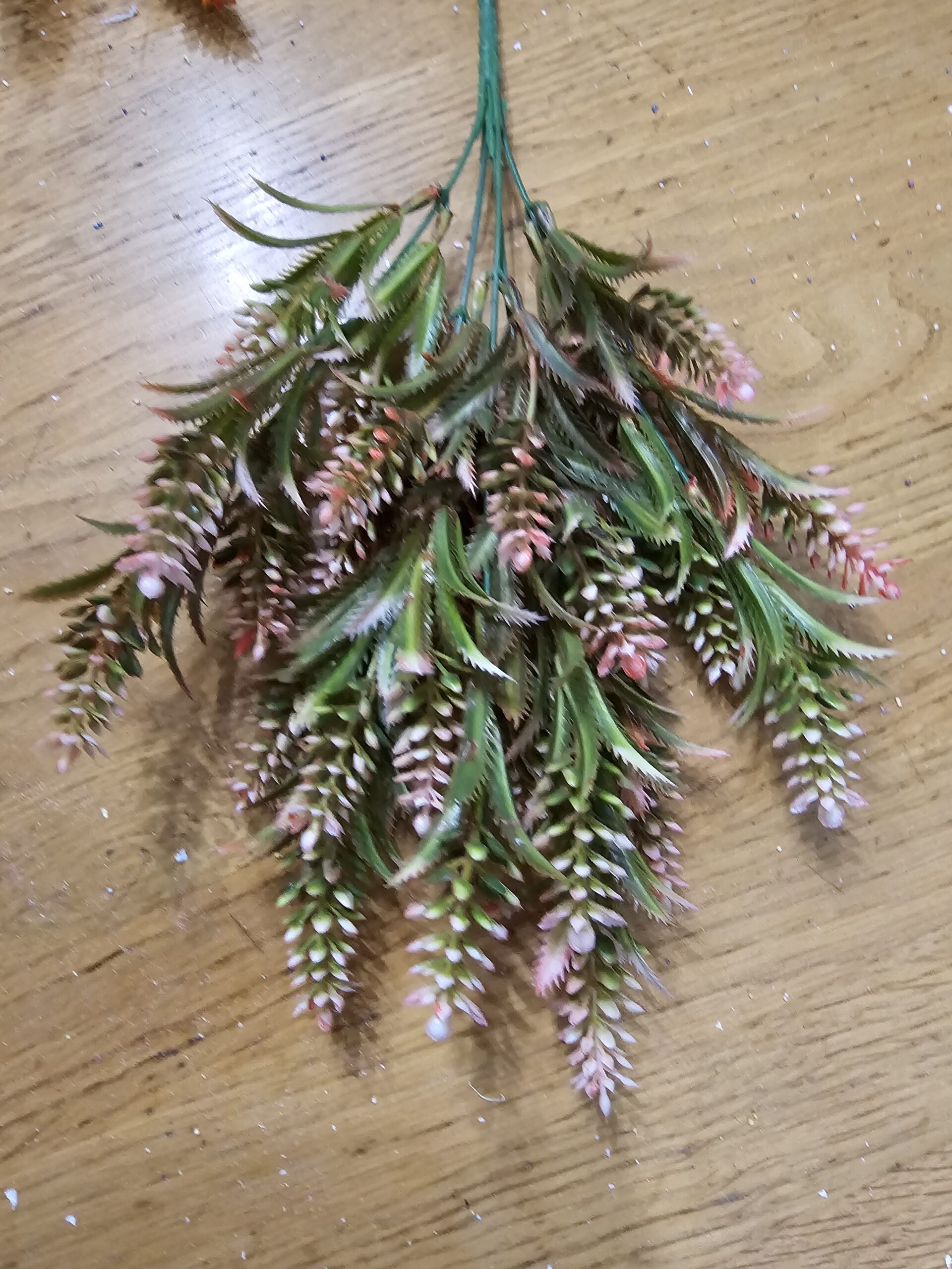 20250106_181606 POPUNA - Slika 1