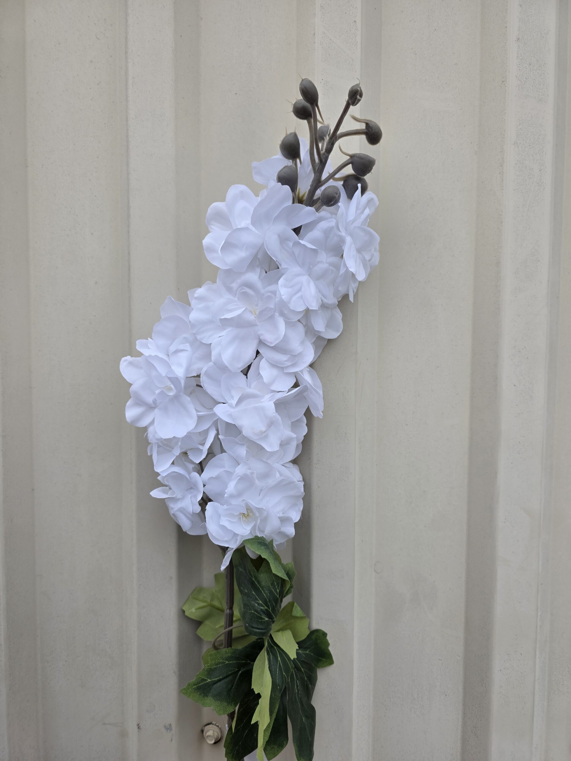 20260130_134841 BIJELA GRANA - Slika 1