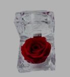 DEHIDRIRANA RUŽA U KUTIJI