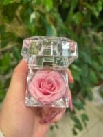 DEHIDRIRANA RUŽA U KUTIJI