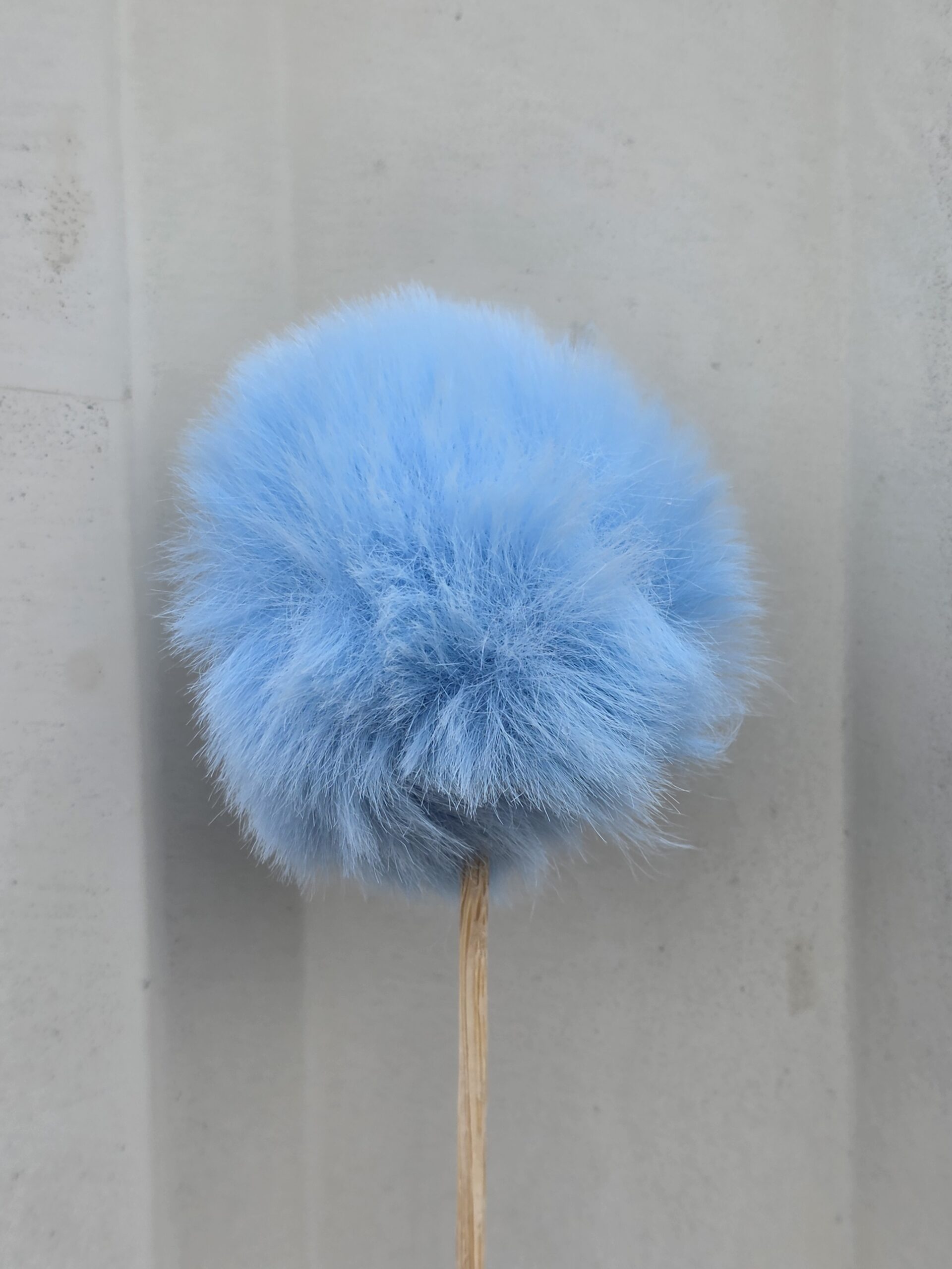 20260224_124136 PIK - Slika 1