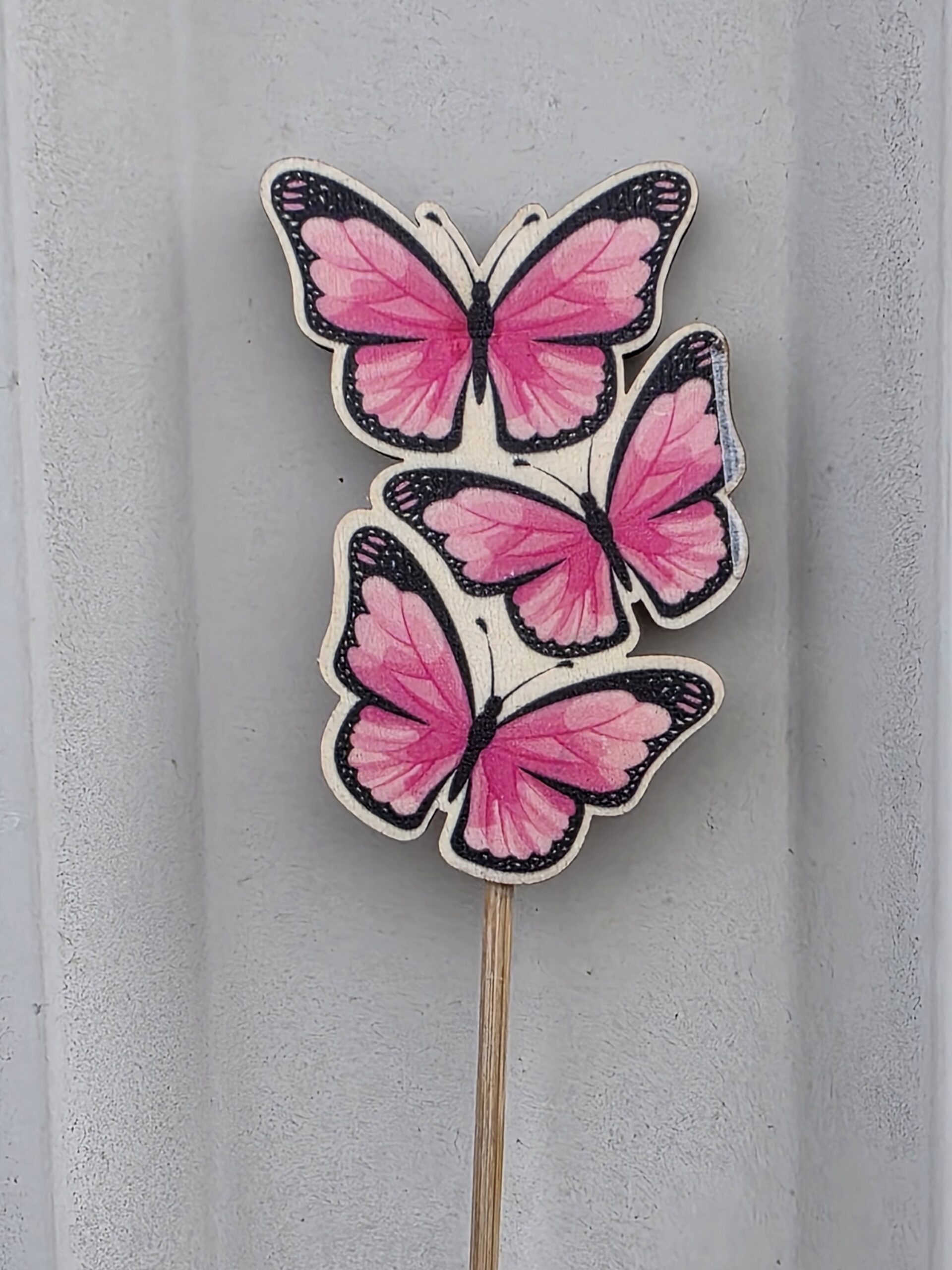 20260224_124950 PIK LEPTIR - Slika 1