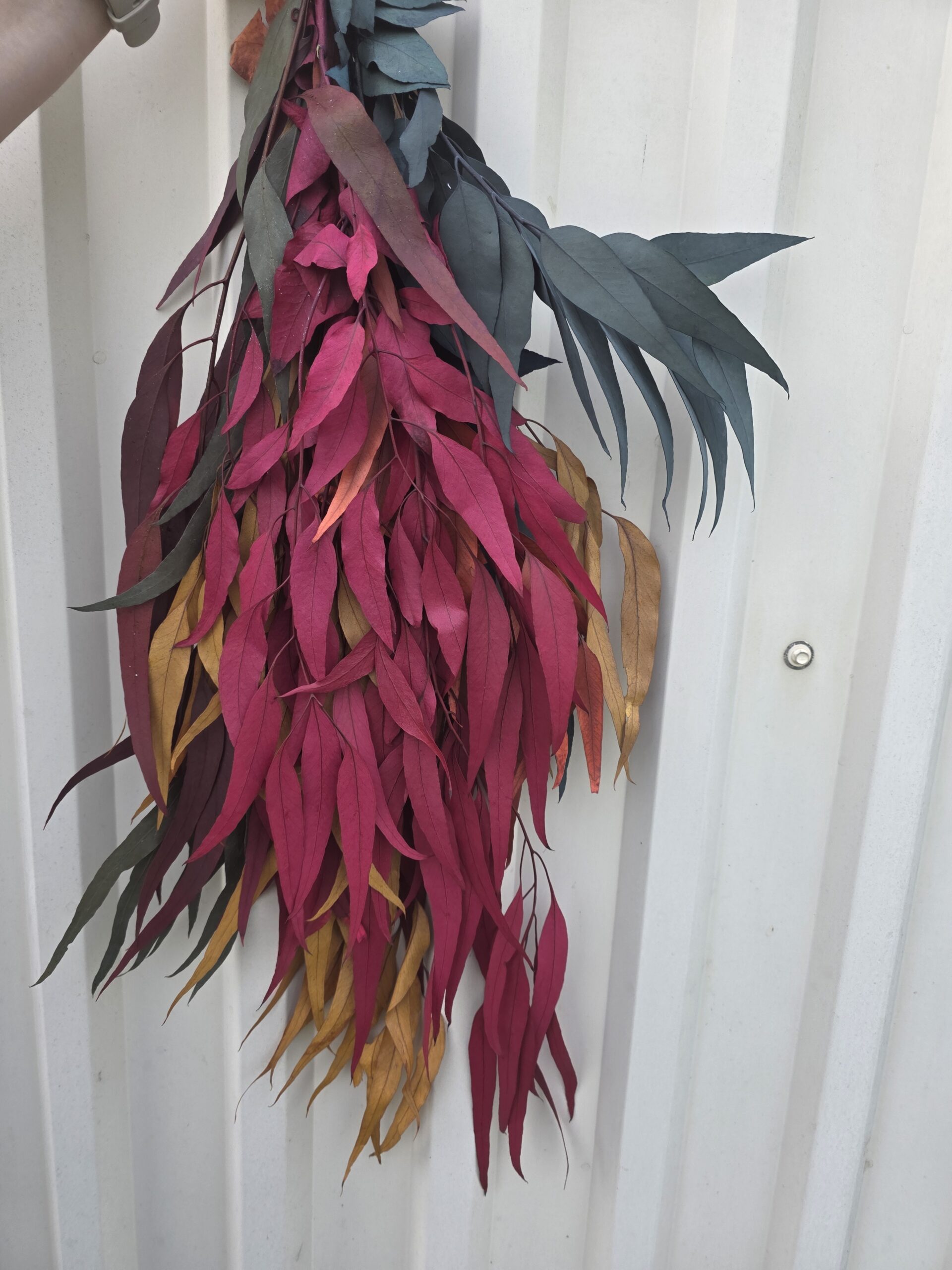 20260412_154653 SUHO SNOP LIŠĆA - Slika 1