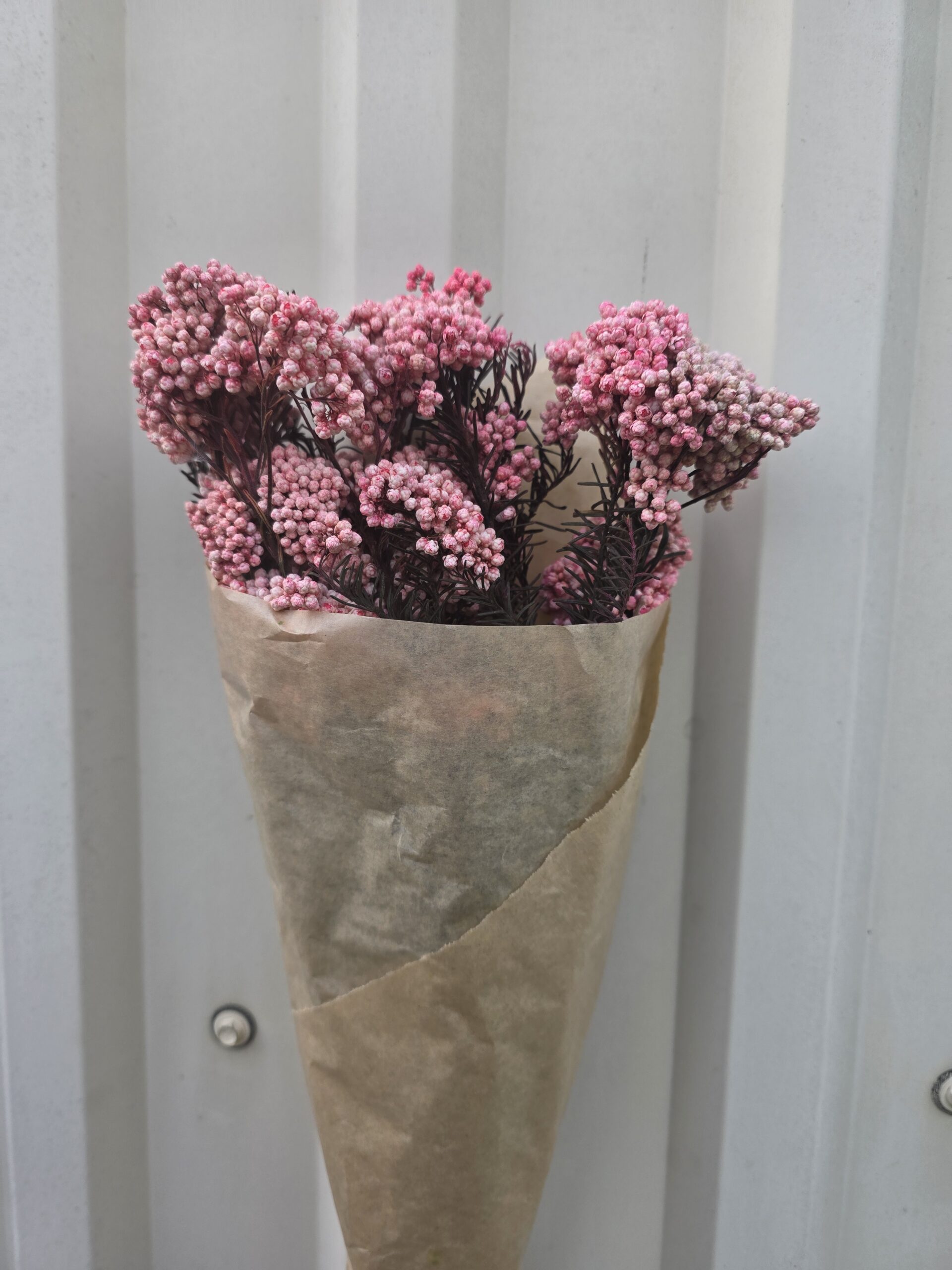 20260412_154708 SUHO SNOP - Slika 1