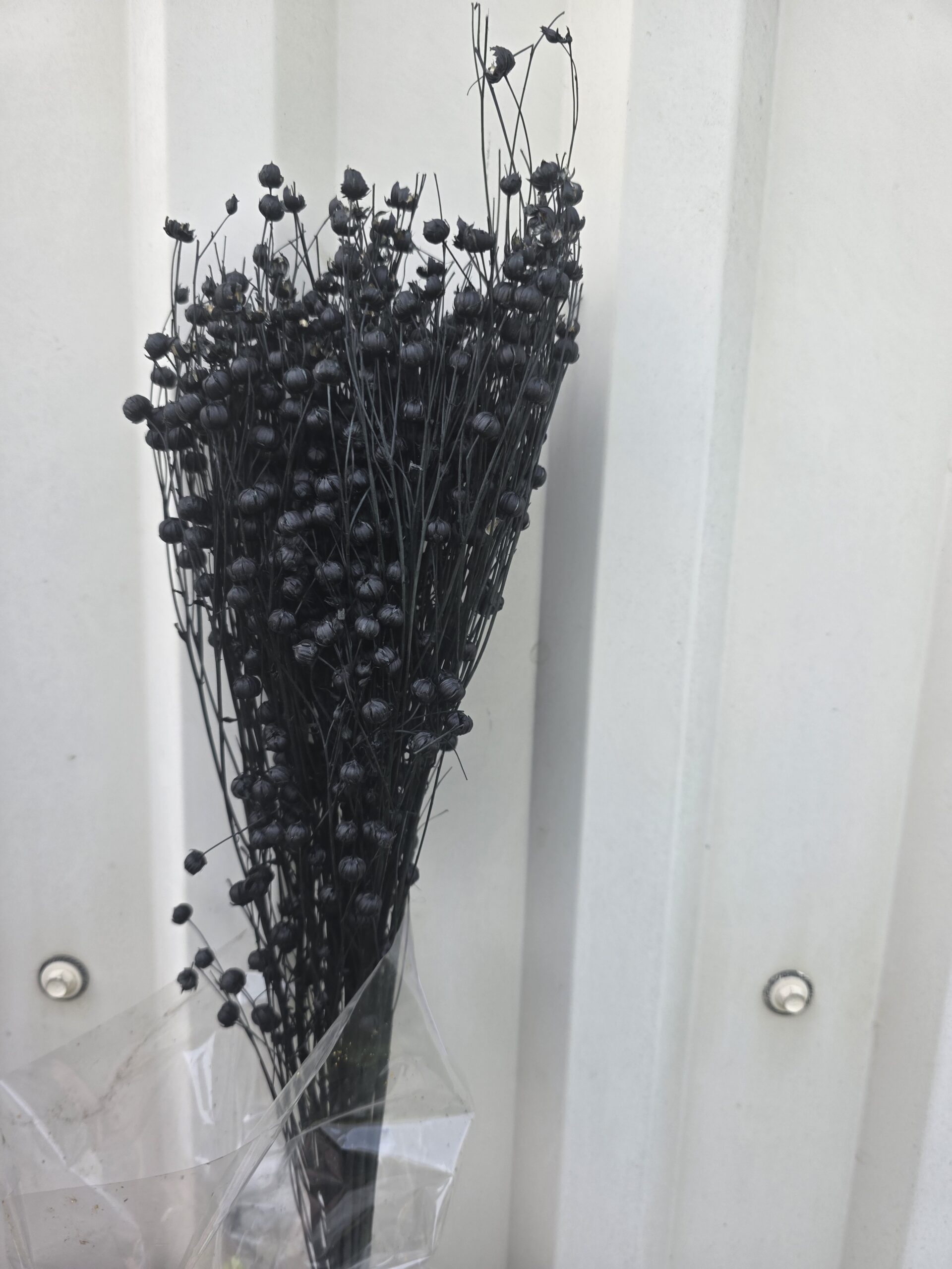 20260412_154734 SUHO SNOP - Slika 1