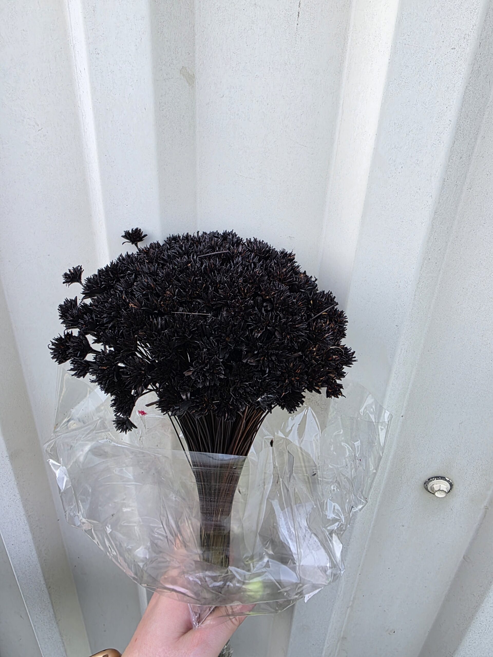 20260412_154801 SUHO SNOP - Slika 1