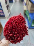 SUHO-NARANČASTA BOJA