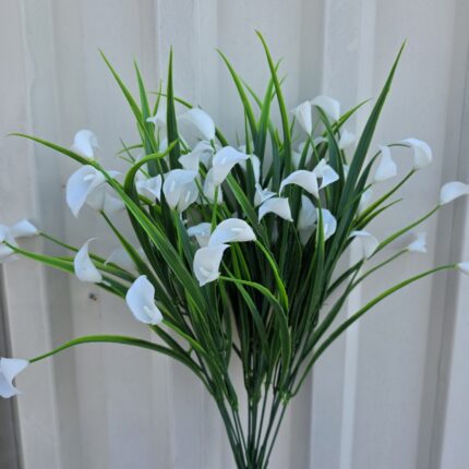 POPUNA VELIKA