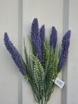 BOGATA POPUNA