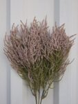 BOGATA POPUNA